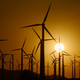 Image for article titled Wind Farms May Actually Warm the US, Controversial Study Finds